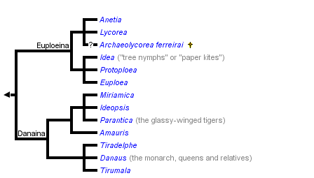 taxon links