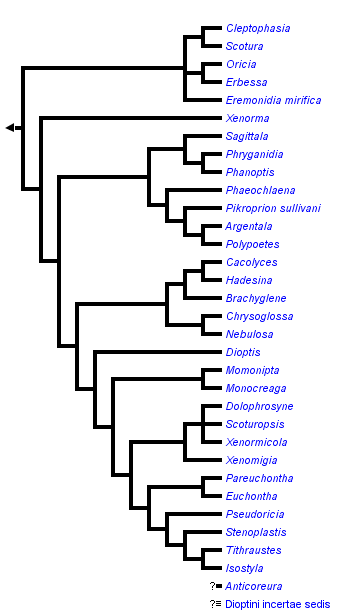 taxon links