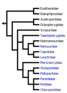 taxon links