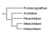 taxon links