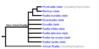 taxon links