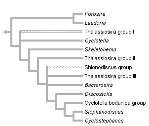 taxon links